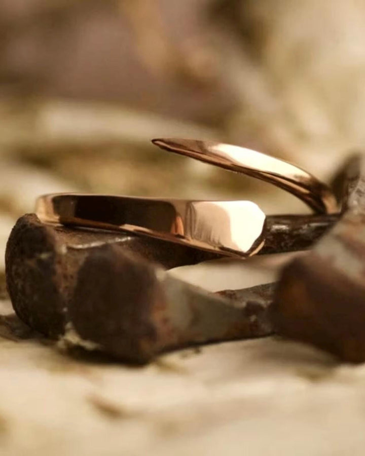 Adjustable Horseshoe Nail Ring