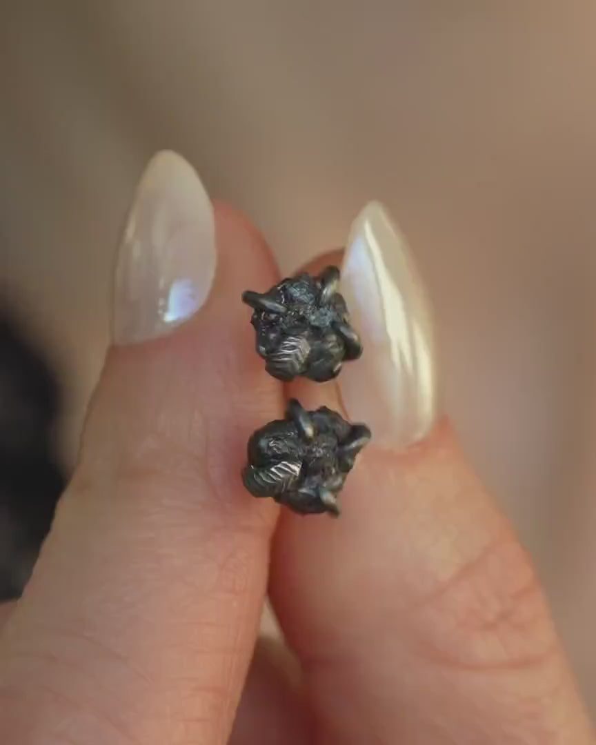 Black Silver Raw Black Diamond Stud Earrings