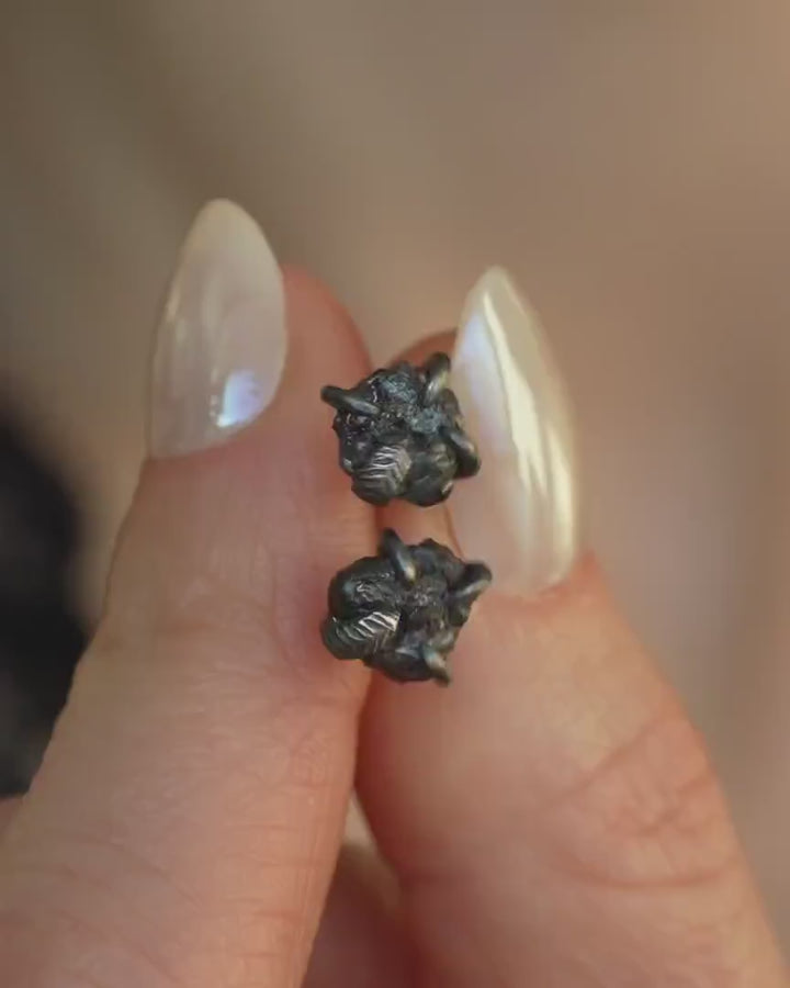 Black Silver Raw Black Diamond Stud Earrings